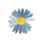 Daisy Flower Patches