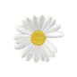 Daisy Flower Patches