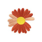 Daisy Flower Patches