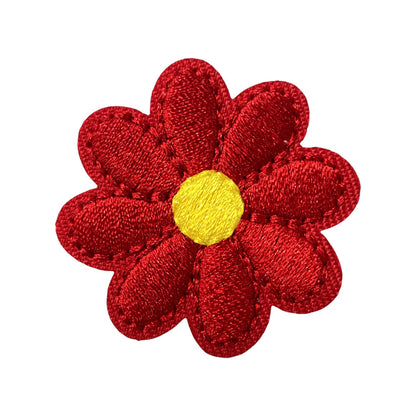 Chrysanthemum small flower multicolor patch