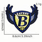 Sports NFL team logo football patch