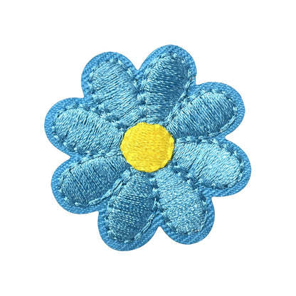 Chrysanthemum small flower multicolor patch
