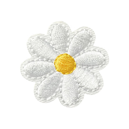 Chrysanthemum small flower multicolor patch