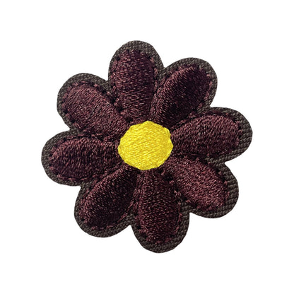 Chrysanthemum small flower multicolor patch