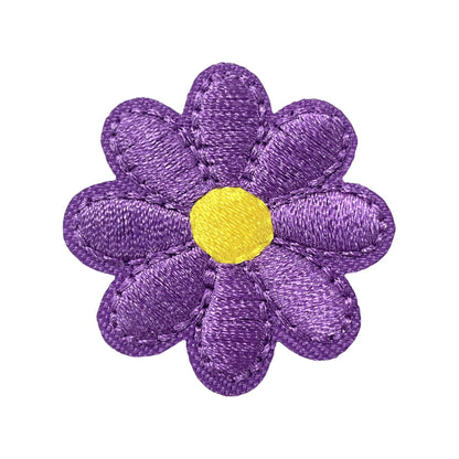 Chrysanthemum small flower multicolor patch