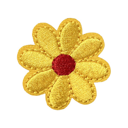 Chrysanthemum small flower multicolor patch